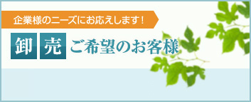 企業様のニーズにお応えします！卸売ご希望のお客様