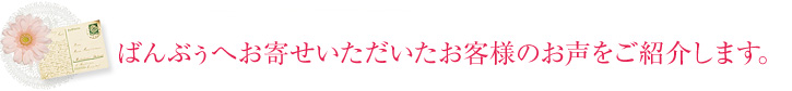 ばんぶぅへお寄せいただいたお客様のお声をご紹介します。 